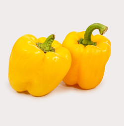Yellow Capsicum