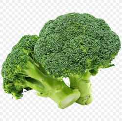 Broccoli