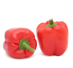 Red Capsicum