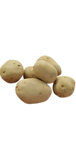 Haldwani  Potato