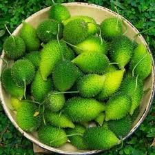 Kankada