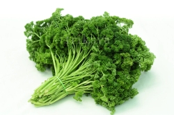 Parsley
