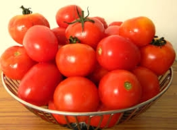 Tomato