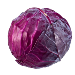 Red Cabbage