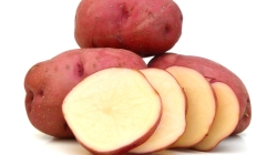 Red Potato