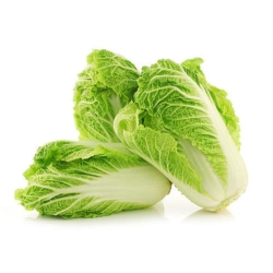 Celery