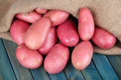 Red potato