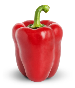 Celery