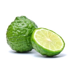 Celery