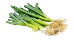Celery