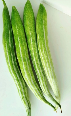 Beetroot